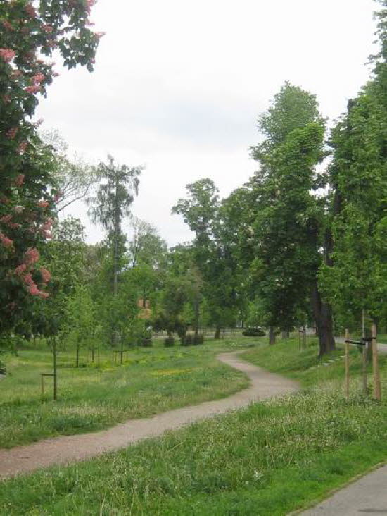 GrößenänderungIMG_0008