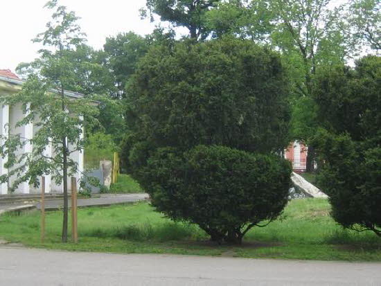 GrößenänderungIMG_0023