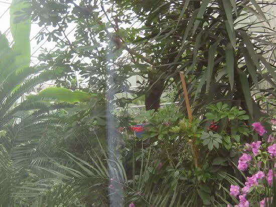 GrößenänderungIMG_0030