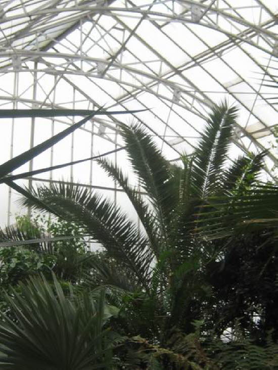 GrößenänderungIMG_0038