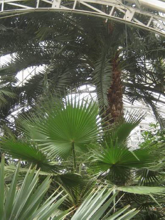 GrößenänderungIMG_0042