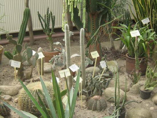 GrößenänderungIMG_0043