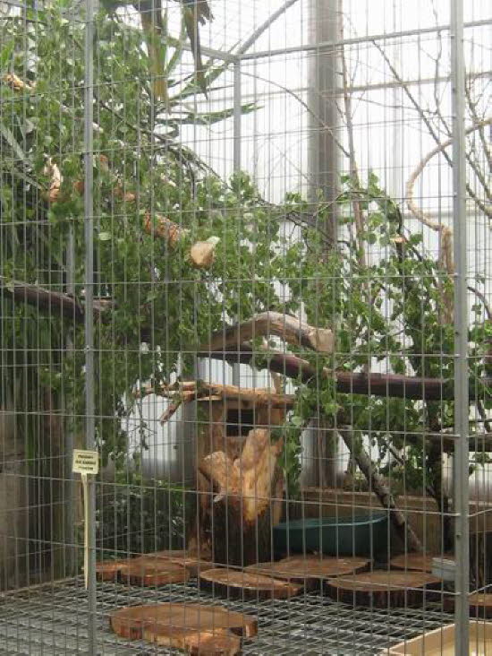 GrößenänderungIMG_0045