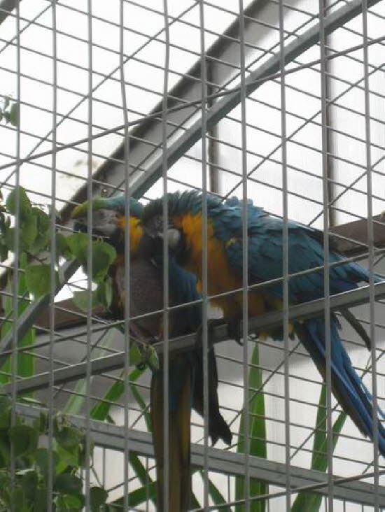 GrößenänderungIMG_0046