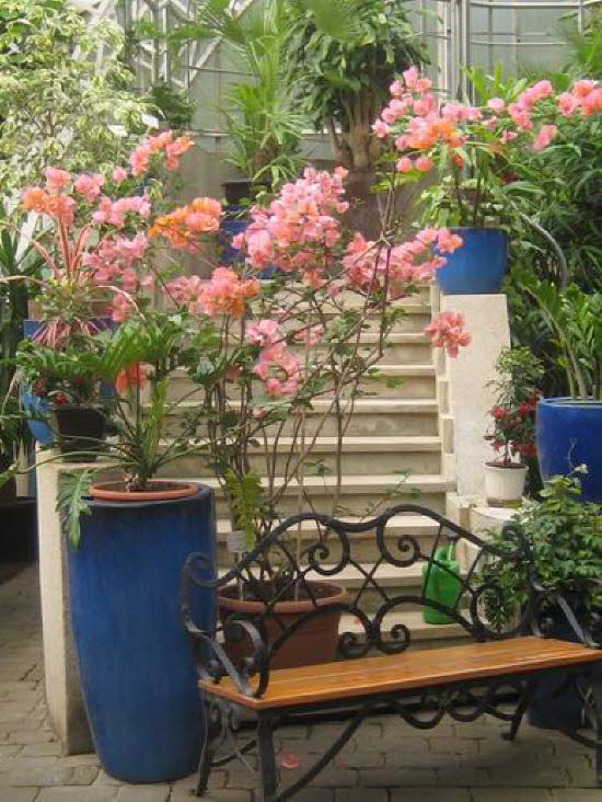 GrößenänderungIMG_0047