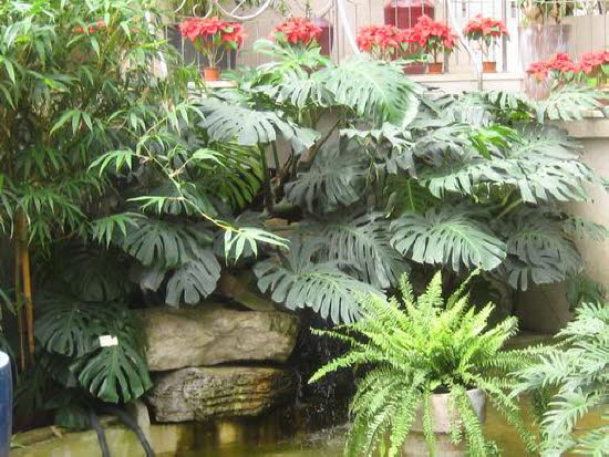 GrößenänderungIMG_0049