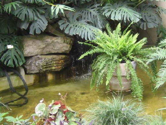 GrößenänderungIMG_0050