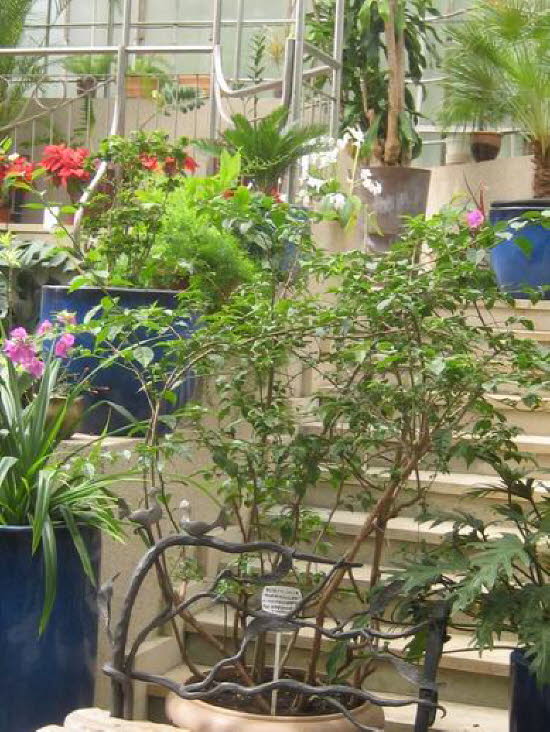 GrößenänderungIMG_0052