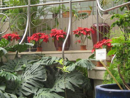 GrößenänderungIMG_0053