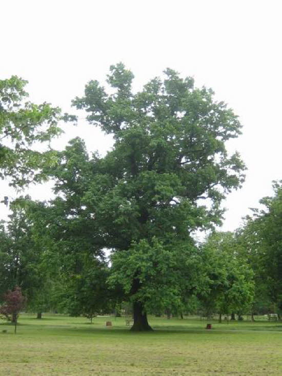 GrößenänderungIMG_0064