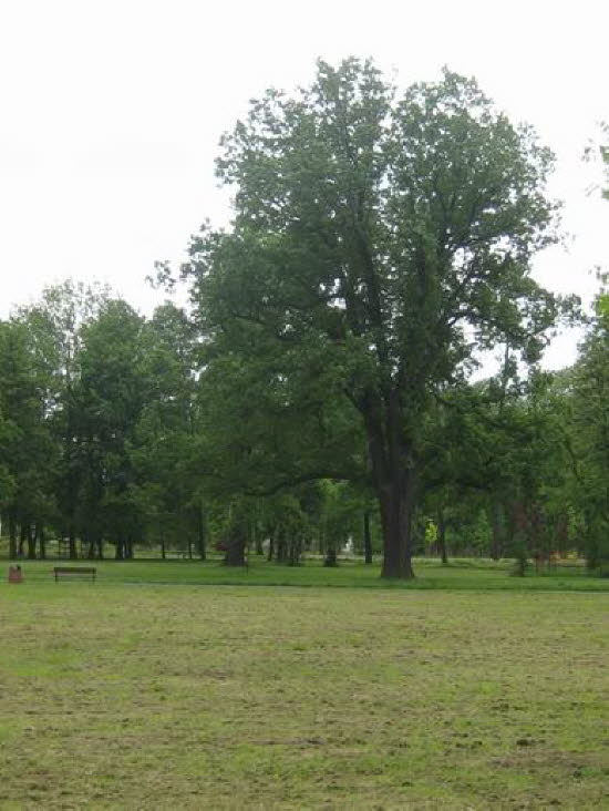 GrößenänderungIMG_0065