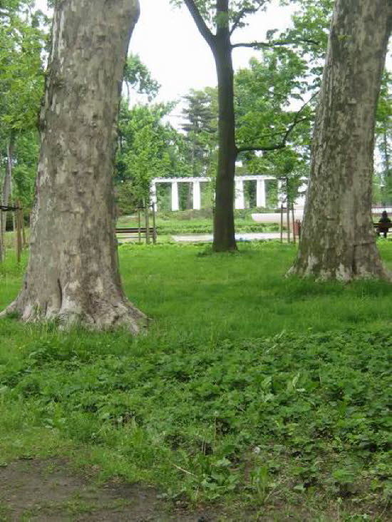 GrößenänderungIMG_0081