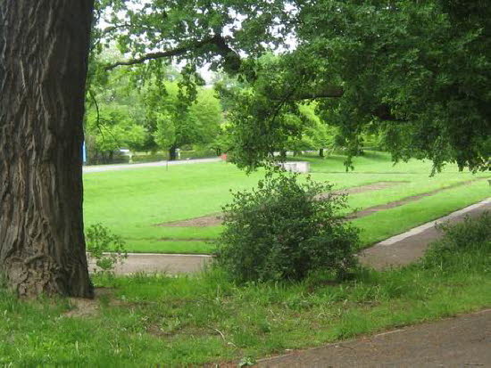 GrößenänderungIMG_0085