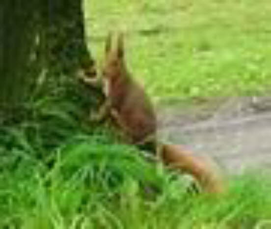 GrößenänderungIMG_0086