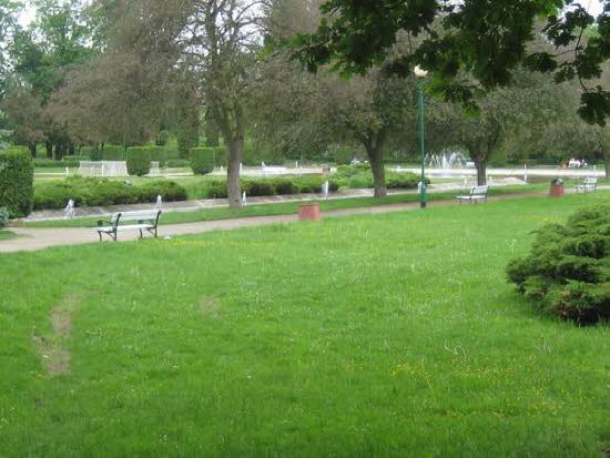 GrößenänderungIMG_0125