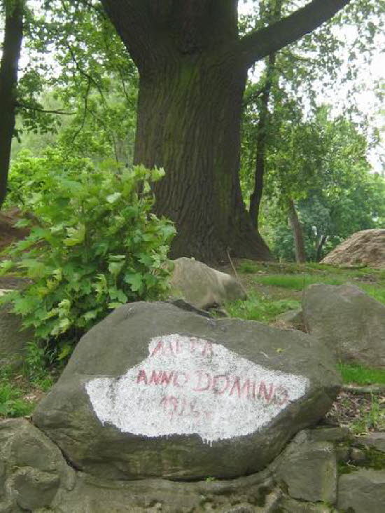 GrößenänderungIMG_0149