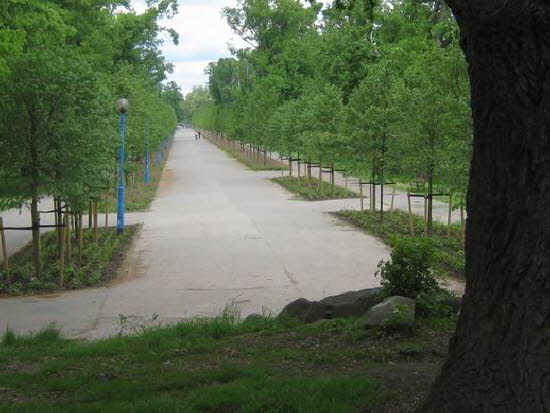 GrößenänderungIMG_0152