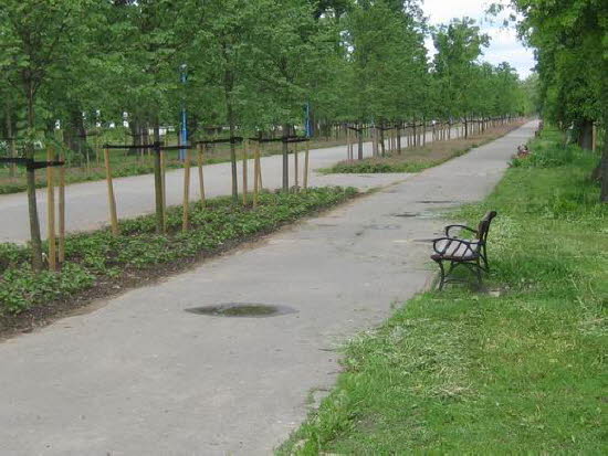 GrößenänderungIMG_0156