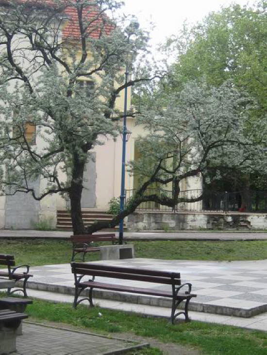 GrößenänderungIMG_0183