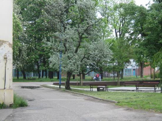 GrößenänderungIMG_0192