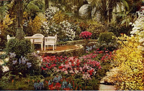 GrößenänderungPalmiarnia 1