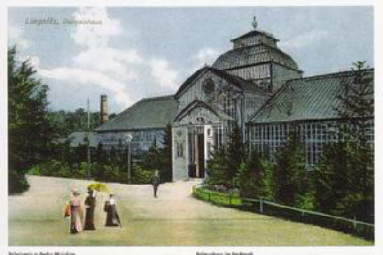 GrößenänderungPalmiarnia 1908