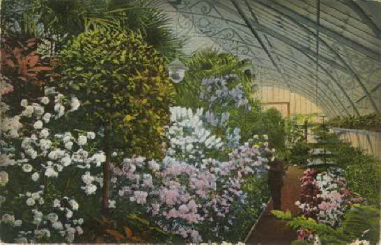 GrößenänderungPalmiarnia 1917