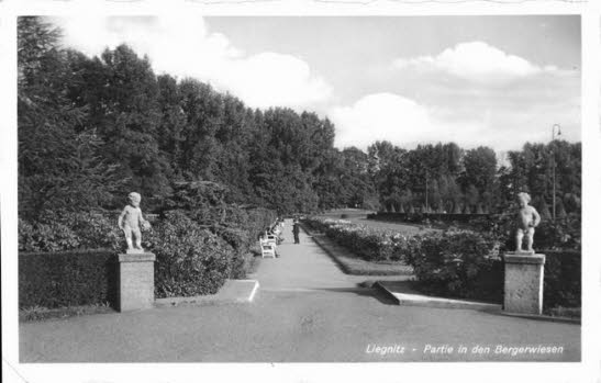 GrößenänderungPark - Bergerwiesen