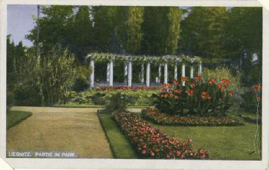 GrößenänderungPergola 1