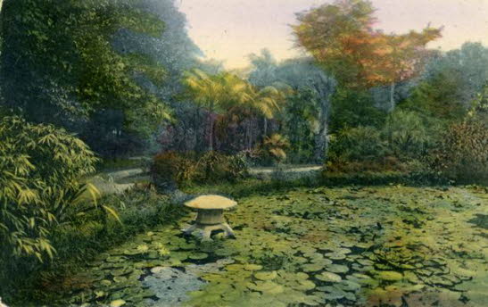 GrößenänderungStaw ogrzewany 1