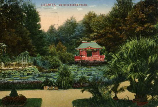 GrößenänderungStaw ogrzewany 13