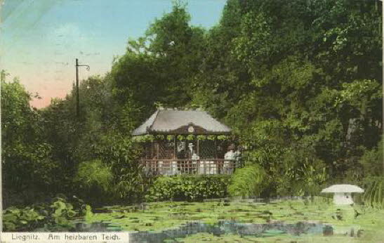 GrößenänderungStaw ogrzewany 1913